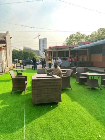 ARTIFICIAL GREEN CARPET