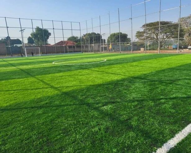 Artificial grass carpets
