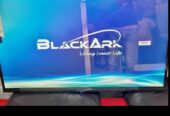 Black ark