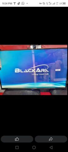 Black ark