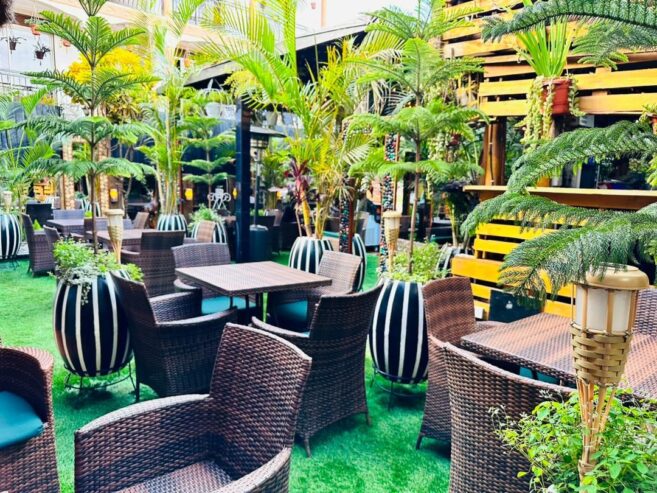 Artificial grass carpets