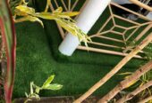 Artificial turf grass carpets