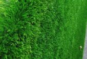 Artificial grass carpets square meter 55k