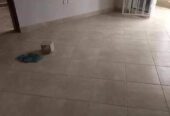 #1Bedrooom and Sitting room houses for #Rent in #Kyanja at #600k ugx monthly .