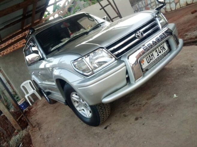 Toyota Prado