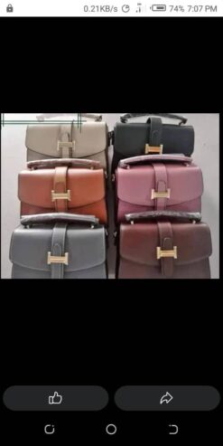 Ladies bags