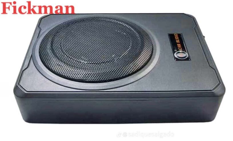 Car subwoofer