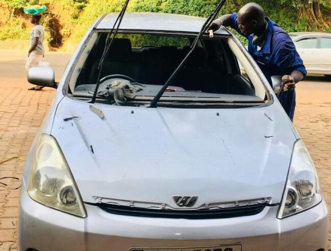 Car Wind Screen Available