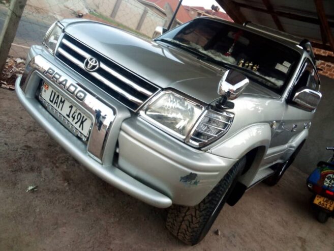 Toyota Prado