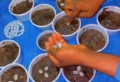 The best powerful spiritual herbalist in Nagera+2347042962713