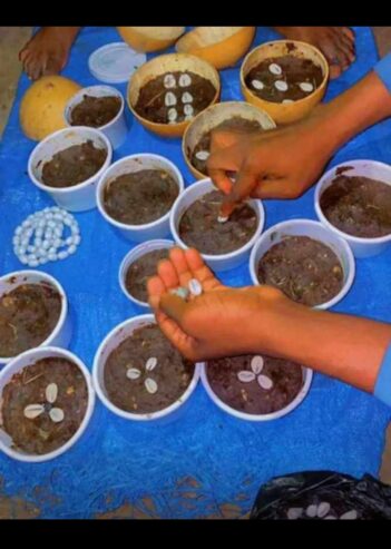 The best powerful spiritual herbalist in Nagera+2347042962713