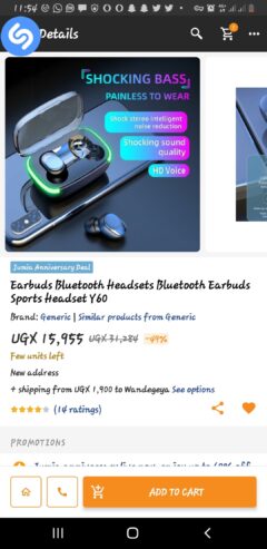 Earbuds