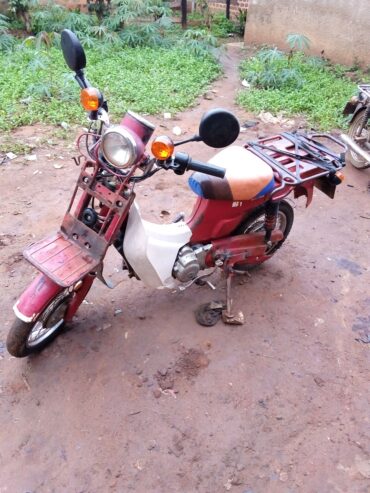 Suzuki jaguar