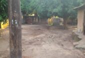This land is Urgently for sale in lira city at 130000000