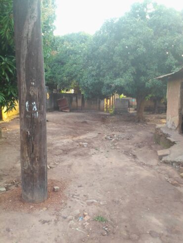 This land is Urgently for sale in lira city at 130000000