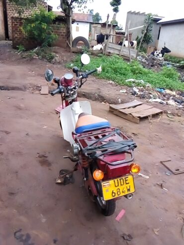 Suzuki jaguar