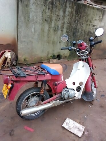Suzuki jaguar