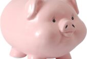 Short Term Loans Online Application Process without Check