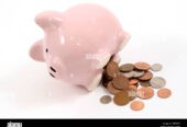 Short Term Loans Online Application Process without Check