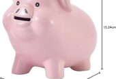 Short Term Loans Online Application Process without Check